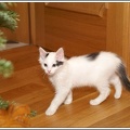 PICT2544-2012-01-04-20-30-47
